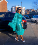 Woman wearing green one shoulder sequin dress with fur trim elegant party dress